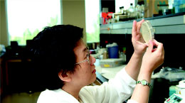 Most of Western Canada's biotechnology companies have been built on discoveries in the universities, research hospitals and government laboratories.