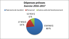 Ce diagramme à secteurs montre la répartition des dépenses prévues pour l'exercice 2016–2017.