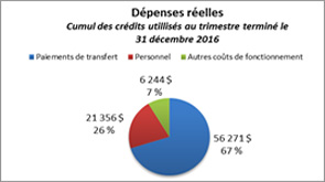 Diagramme à secteurs no 5 : Dépenses réelles pour 2016–2017