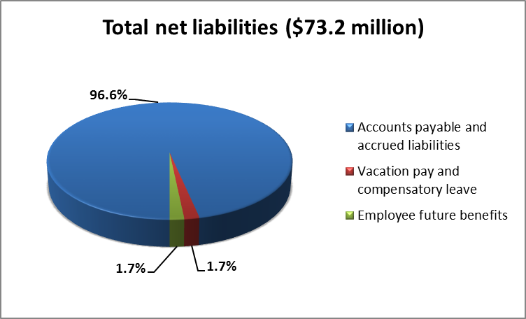 Total net liabilities