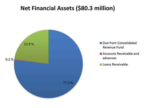 Net Financial Assets graph