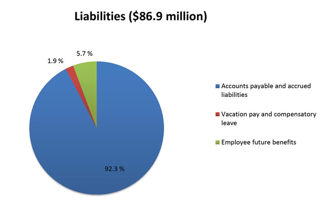 Liabilities graph