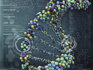 Molécules d'ADN