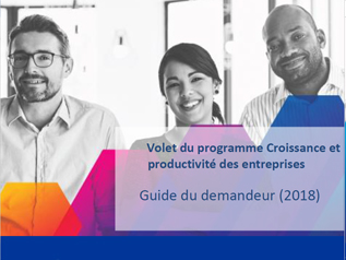 Programme Croissance et productivité des entreprises Guide du demandeur