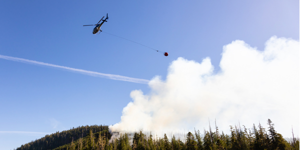 Les répercussions de plus en plus grandes des feux de forêt sur les collectivités et les entreprises