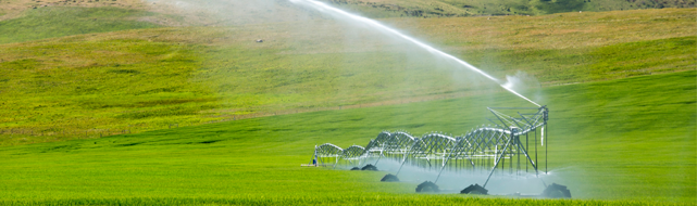 Economic diversification in rural Alberta