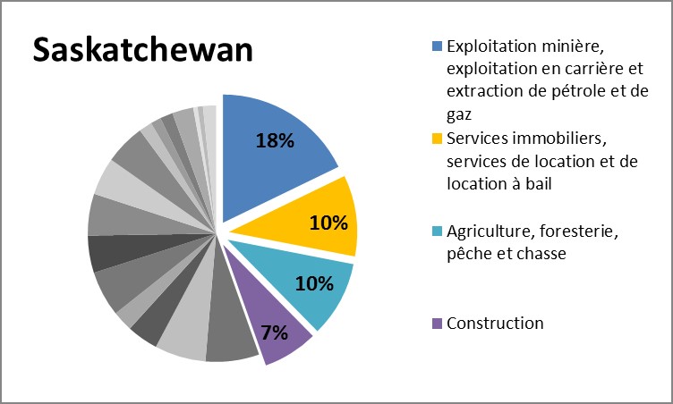 Diagramme à secteurs : Saskatchewan